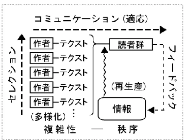 図   13 コミュニケーション過程と継承過程（進化過程）  コミュニケーション論を超えて。 の理論関心に訴えやすく，実際，いくつかのテクスト論タイプの文学システム論を産んでいる。 43 し かし，もともと社会的事象を独自の抽象化によって論じるルーマンの社会理論を，テクスト論的な解 釈のもとで受容することの問題は明白である。Ｏ．ヤーラオスは「不十分な複雑性しか持たぬ転用 （ unterkomplexe Applikation ）」と批判している。 44 研究プログラムとして具体性に欠け，社会事象を 捉える研