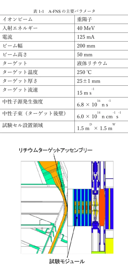 表 1-1  A-FNS の主要パラメータ  イオンビーム  重陽⼦  ⼊射エネルギー  40 MeV  電流  125 mA  ビーム幅  200 mm  ビーム⾼さ  50 mm  ターゲット  液体リチウム  ターゲット温度  250 ℃  ターゲット厚さ  25±1 mm  ターゲット流速  15 m s -1 中性⼦源発⽣強度  6.8 × 10 16  n s -1 中性⼦束（ターゲット後壁）  6.0 × 10 14  n cm -1  s -1 試験セル設置領域  1.5 m D  × 1.