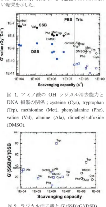 図 2.  ラジカル消去能と G’(SSB)/G’(DSB)  PBS；circle と  Tris buffer；square 