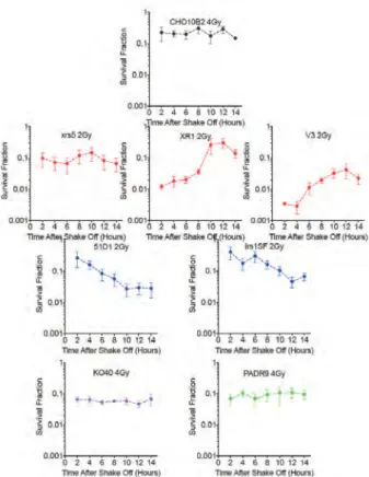 Figure 3. Survival after carbon-ion exposure. 