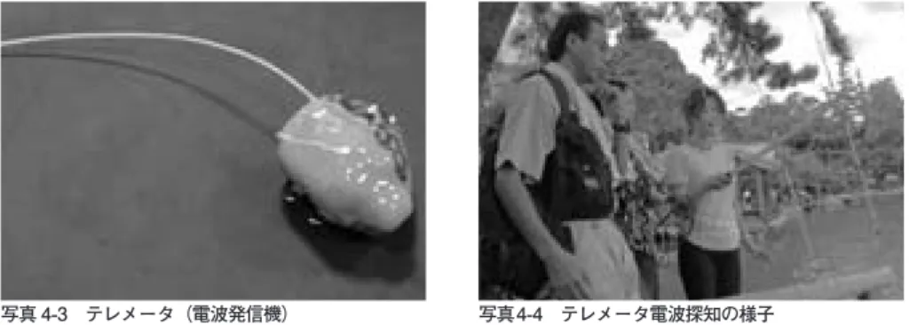 図 4-10　大沢池の現在の推定生態系模式図［調査結果から，真板作成］