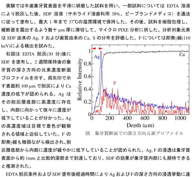 図  象牙質断面での深さ方向元素プロファイル 