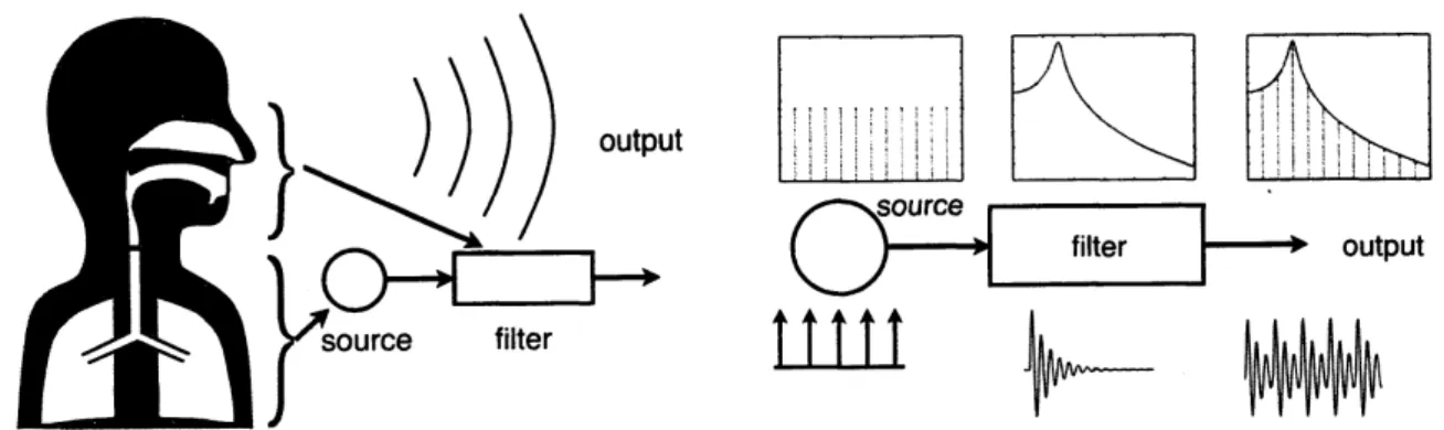図 4: 音声生成過程。 ( 左図 ) 肺と声帯から構成される音源部分と、 その上部の空洞 (声道) で構成されるフイルタ部分により、音声は生成される。 (右図) 有声音の周 期的駆動は、 フィルタの特性を周波数軸上で標本化する 3 滑らかな表現の復元 格子模様が重なっている表現からの復元は、 2 つのステップを通じて行なわれる。 まず、 分析位置に依存しないパワースペクトルが求められ、 次いで、 周波数領域で の周期的構造が取り除かれる。 数値的な細部にわたる議論は別の資料 [11] に譲り、 ここでは標