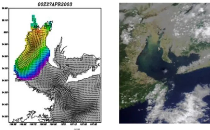 図 1  2003 年 4 月 27 日の木曽三川からの浮遊土砂 の流出拡散計算（左）と Aqua MODIS 衛星画像（右）