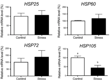 Fig. 1. Stress-induced HSP mRNA level changes in the hippocampus. Quan- Quan-titative reverse transcription PCR analysis showing the expression levels of HSP25, HSP60, HSP72, and HSP105 (n = 4 to 5 animals per group)