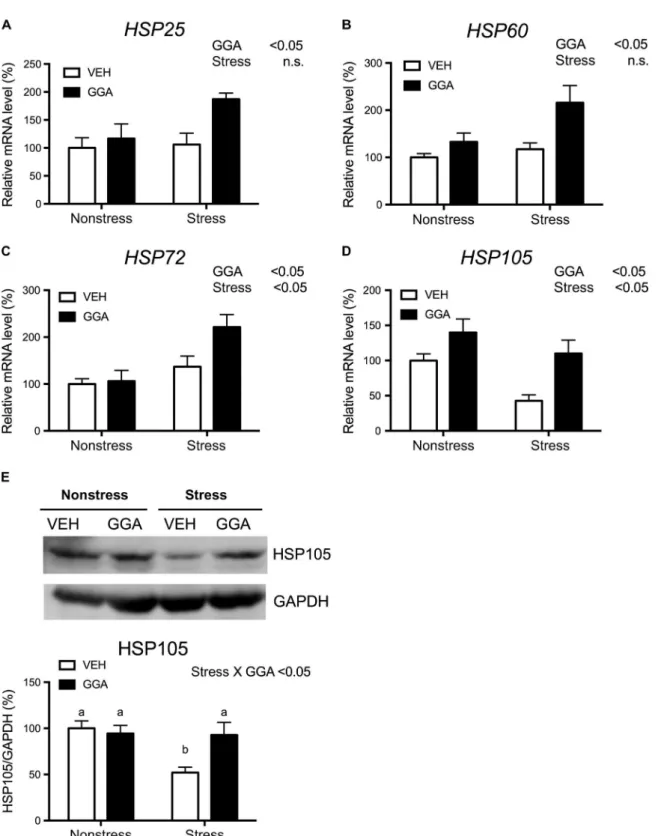 Fig. 2. Effects of GGA on HSP expression in the hippocampus. The level of HSP mRNA in the hippocampus was detected by quantitative reverse transcription PCR.