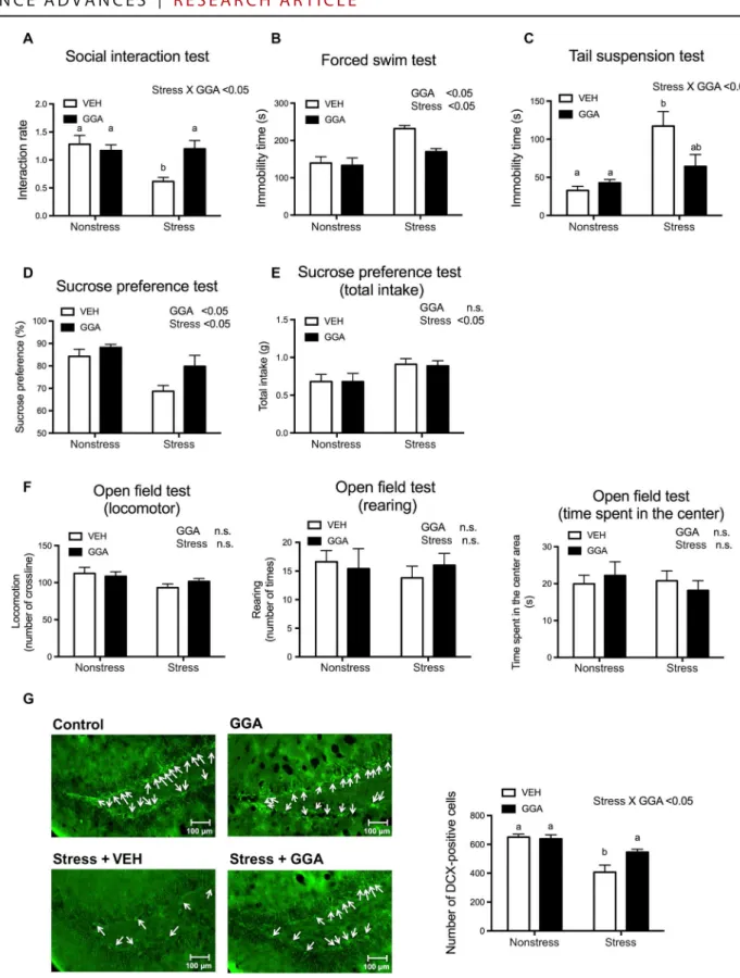 Fig. 3. GGA administration rescues depression-like behavior and hippocampal proliferation