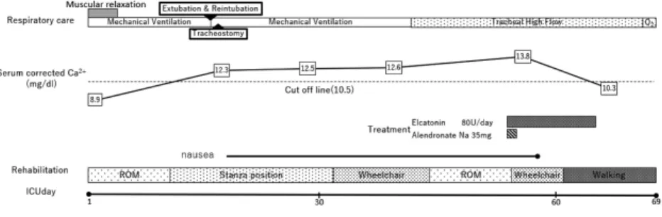 Figure Progress chart of the patient.