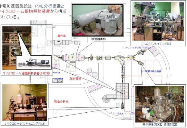 図 1  静電加速器棟 PASTA&amp;SPICE における被害状況の概要。すべてのビームに被害が生じた。