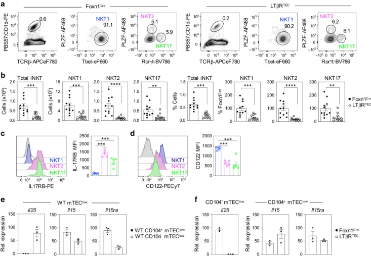 Fig. 4 LT β R expression by thymic epithelium controls the intrathymic iNKT cell pool