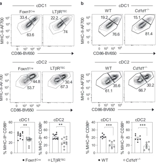 Fig. 7 Impaired dendritic cell activation in LT β R TEC mice. Flow cytometric analysis of CD86 and MHCII expression by Lin − CD11c + Sirp α − cDC1 and Lin − CD11c + Sirp α + cDC2 in the thymuses of a Foxn1 Cre ( n = 10 biologically independent samples, clo