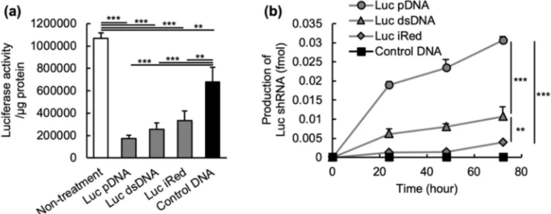Figure 2. In vitro luciferase gene silencing activities of different DNAs. (a) RNAi activity of Luc  pDNA, Luc dsDNA, Luc iRed and control DNA