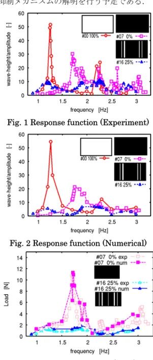 Fig. 1 Response function (Experiment) 