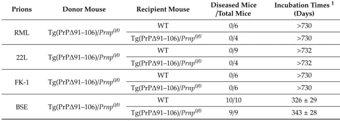 Table 2. Secondary transmission of PrP Sc ∆91–106 prions in WT and Tg(PrP∆91–106)/Prnp 0/0 mice.