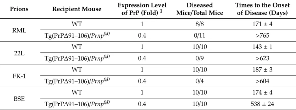 Table 1. Incubation times in WT and Tg(PrP∆91–106)/Prnp 0 / 0 mice inoculated with RML, 22L, FK-1 and bovine spongiform encephalopathy (BSE) prions.
