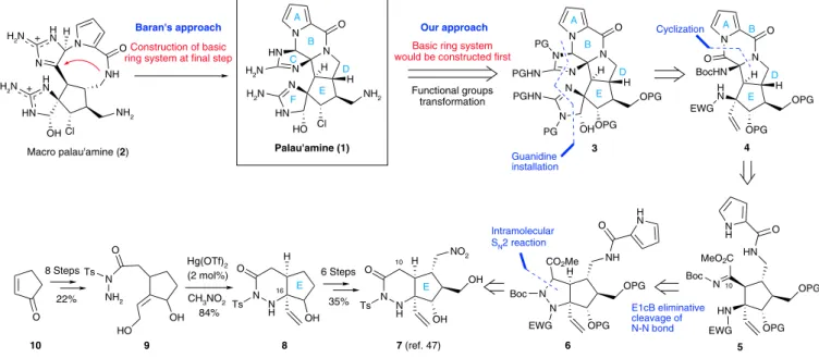 Figure 1 | Structure of palau’amine and its synthetic approach. Palau’amine 1 should be obtained by functional group transformations from the hexacyclic ring core 3, which would be constructed from the previously reported E-ring core 7