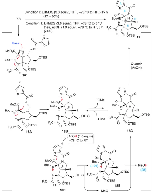 Figure 3 | Construction of ABDE ring system and comparison of the relative basicity of nitrogen anions