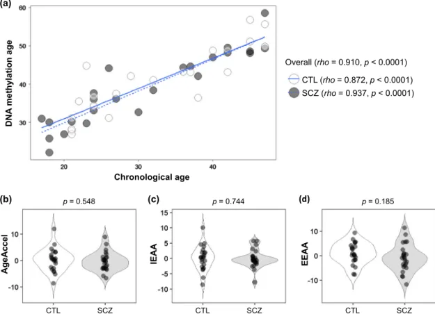 Fig. 2 Epigenetic age acceleration analysis of the second cohort. a Scatter-plot of DNA methylation age vs