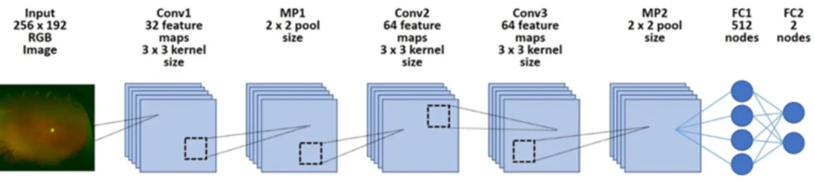 Figure 1 Overall architecture of the deep learning model. First, each dataset’s image was reduced to 256 × 192 and was input into the model.
