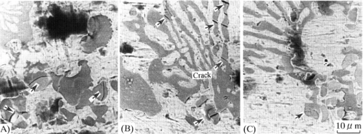 Fig.  10.  Effects  of  Cr  and  Mo  contents  on  the  number  of  cracks  in   carbide.