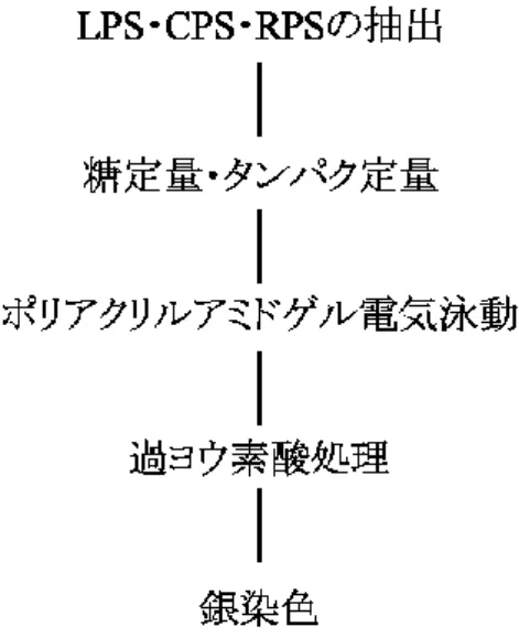 Fig. 2-3  細胞外多糖の分析フローチャート
