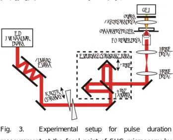Fig. 2.   Collagen-sensitive SHG microscopy.