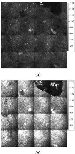 Fig. 5. Experimental setup for pulse duration  measurement at the focal point of SHG microscopy by  TPEF interferometric autocorrelator.