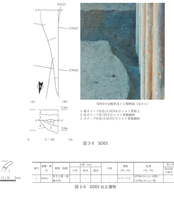 図 3-5　SD03 図 3-6　SD03 出土遺物 い。以上をふまえると，本遺構は縄文時代晩期末／弥生時代前期初頭（Ⅰ－ 1 様式）に位置づけられ る可能性が高いといえる。 SX03（図 3-2） 　調査区南壁の 6 層上面で確認された。平面的には検出されておらず，遺構であるかは不明である。 残存部の長さ 0.3m である。断面はレンズ形とみられ，深さ 0.1m である。埋土は細砂で，土色は暗 青灰色である。埋土から遺物は出土していない。 ［時期］　検出層位から縄文時代晩期後葉～同晩期末／弥生時代前期初頭