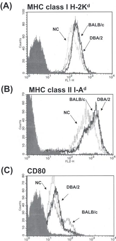 Fig. 3. Expression of MHC class I, MHC class II and CD80 in DCs from BALB/c, DBA/2 and NC mice