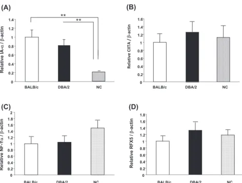 Fig. 5. Expression of cathepsin E and S in DCs. (A) Expression of cathepsin E and cathepsin S was analyzed by Western blotting with anti  cathepsin E and anti  cathepsin S mAb