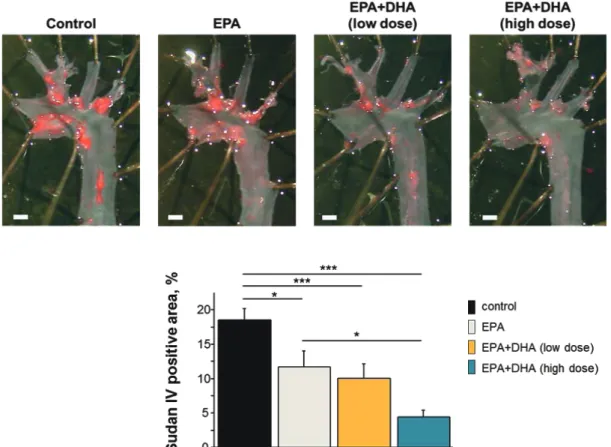 Fig. 2. The effects of n-3 PUFAs on the progression of atherosclerosis in Apoe − / −  mice