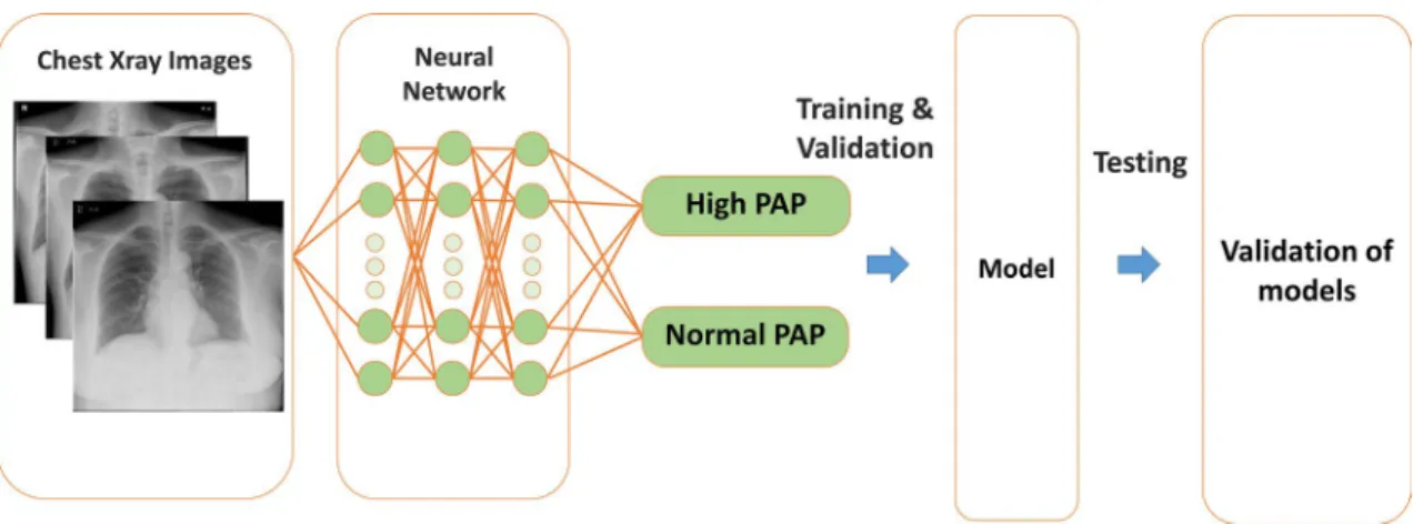 Figure 1.  Neural network: An example of a convolutional network model for detection of pulmonary  hypertension