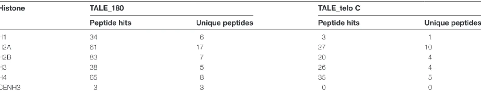 Table 1.  Histones co-immunoprecipitated with TALE–FPs