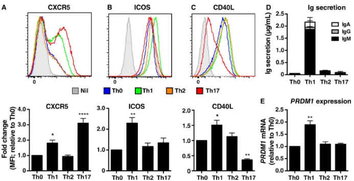 Table 1.  Induction of transcriptional regulators of CD4 +  T cell differentiation in vitro