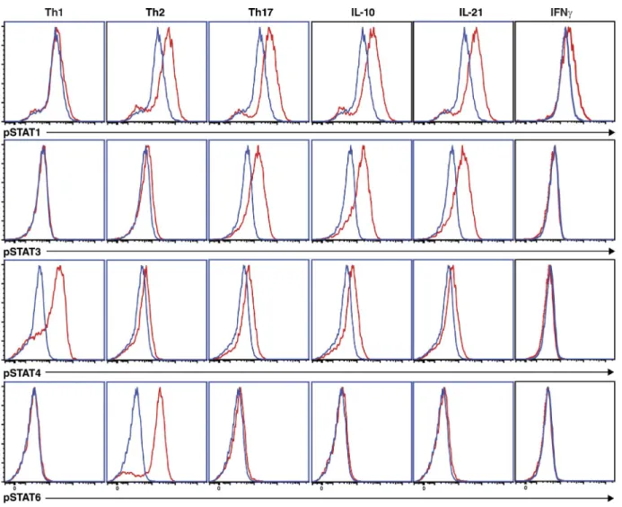 Figure 3.  Differential induction of STAT activation by in vitro–polarizing conditions