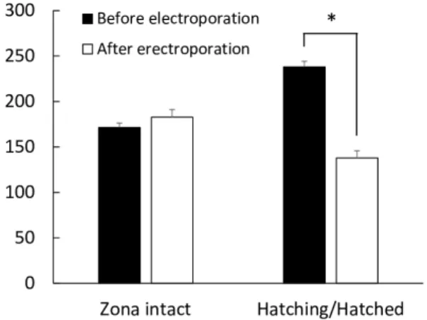 Fig. 3.  The average diameter of blastocysts with intact zona pellucida  (n = 12) and of hatching/hatched blastocysts (n = 9) before and  24 h after electroporation
