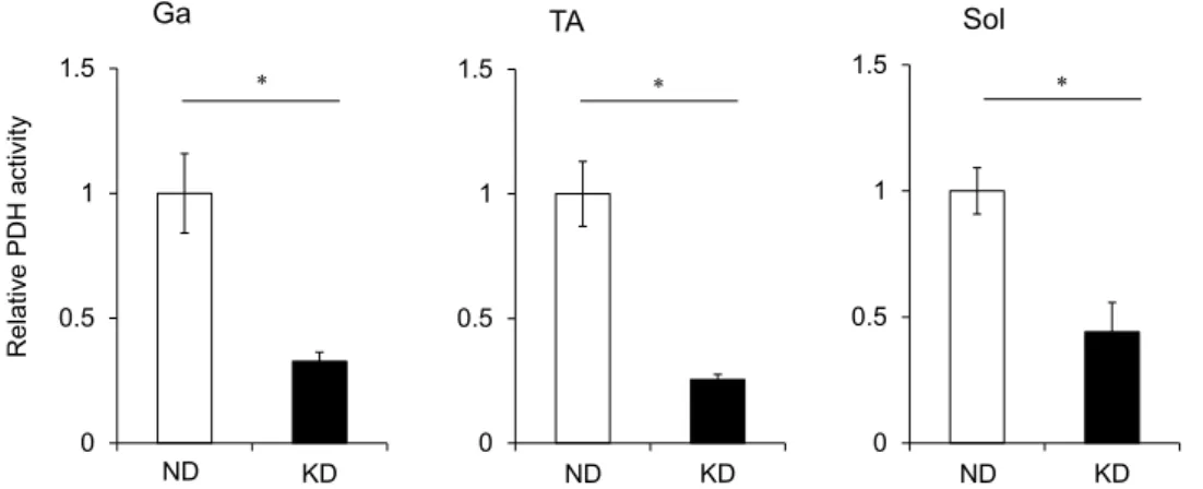 Figure 3.  Pyruvate dehydrogenase activity in skeletal muscles. Activity of PDH in gastrocnemius (Ga), tibialis  anterior (TA) and soleus (Sol) muscles of mice fed with normal (ND; unfilled squares) or ketogenic (KD; filled  squares) diets for seven days