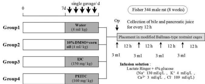 Figure 1. Experimental protocol and design for the bile and pancreatic juice collections