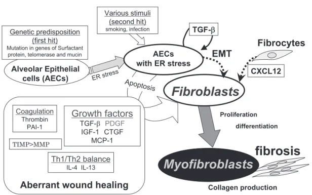 Figure 1 Molecular pathogensis of IPF