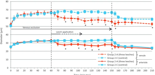 Fig. 7 Arteriolar flow velocity in each group (Experiment 2). *p! 0.05.