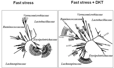 Figure 3 and Figure 4 showed the effect of DKT on microbiome in the intestine after fast stress.