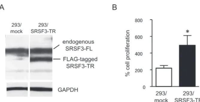 Figure 1. Cell proliferation of 293/SRSF3 - TR cells.