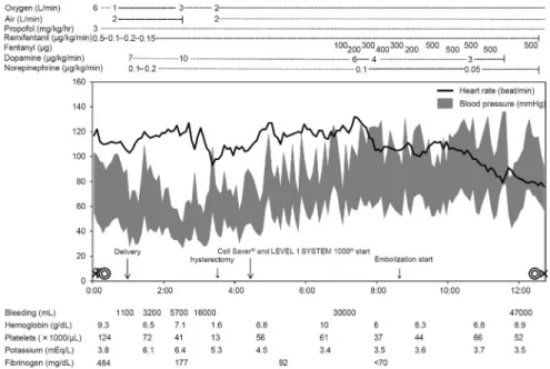 Figure 2. Anesthetic chart
