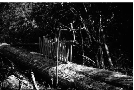 FIGURE 2. A deadfall trap (dui)