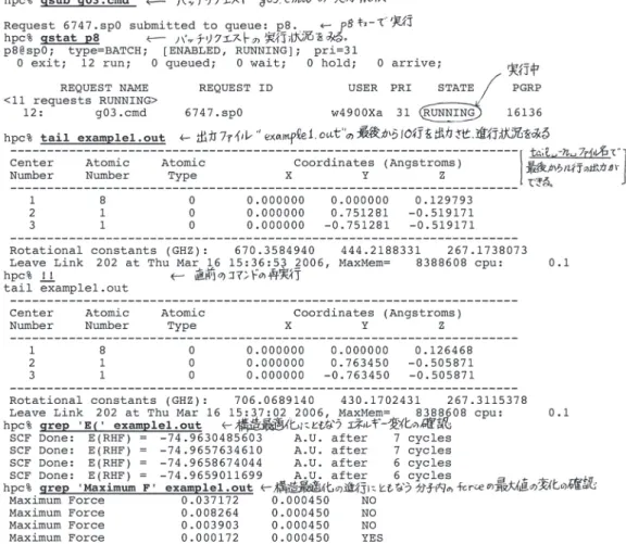 図 4 Gaussian 実行中に使用した C シェルコマンドとその結果