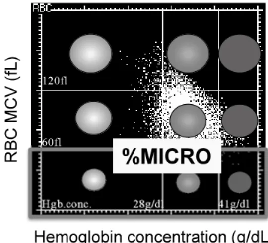 Fig 2. 　Correlations of the schistocyte ratio with red blood cell (RBC)  parameters in 299 samples