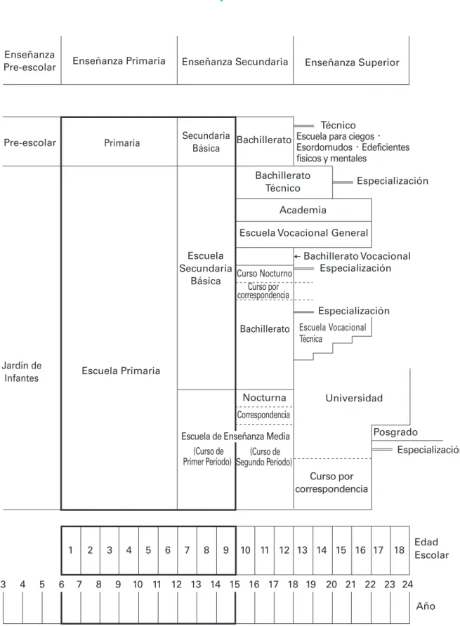 Gráfico del sistema de escuela del Japón