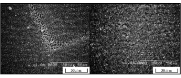Fig. 17. SEM micrographs of (a) spalled area on Fe–20Cr–4Al (Standard) and (b) oxide scale on Fe–20Cr–4Al–0.5Pt alloys exposed to an  oxygen-water vapor (dew point: 313 K) environment for 18 ks at 1473 K.