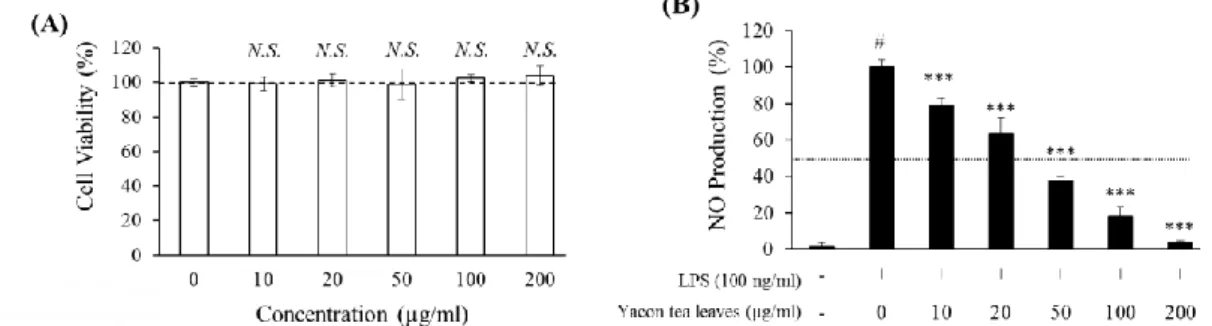 Fig.  7.  ヤーコン茶葉の熱水抽出物の細胞生存率  (A)  および RAW264.7 マウスマクロファージ様細胞の LPS 誘導 の NO 産生に及ぼす阻害作用  (A)  においては、細胞を異なる濃度のヤーコン茶場抽出物とともに 24 時間培養。