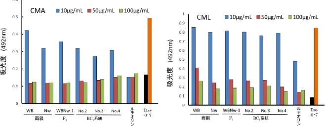 Fig. 11.    ELISA 法による‘ワインダー  (WB)’×ナワシロ F 1  (WBNw-1)  と BC 1  (No.2～4)  系統およびその両親の CML および CMA 生成抑制能の評価。リボースとゼラチンの混合液を Blank、混合液を 37℃で 7 日間インキュベ ートしたものをControl とした。ルテオリン  (10 µg/ml)  はAGEs 生成抑制化合物のコントロールとして使用した。  Ⅳ．総括  本年度は薬用および食用として利用されてきた 6 種の植物種および植物群